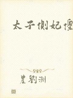 太子侧妃傻乎乎