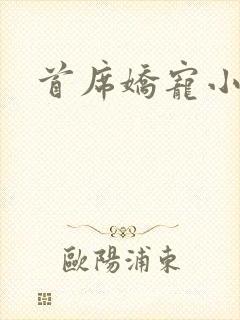 首席娇宠小情人