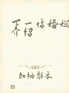 下一站婚姻剧情介绍