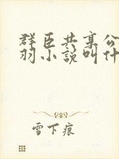 群臣共享公主银羽小说叫什么