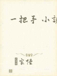 一把手 小说