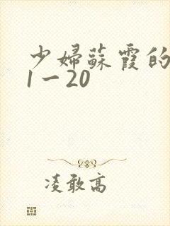 少妇苏霞的沉沦1一20