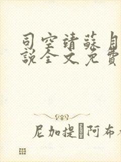 司空靖苏月汐小说全文免费阅读