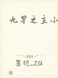 九星之主小说