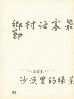 乡村活寡最新章节