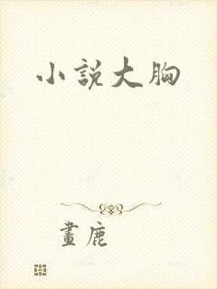 小说大胸