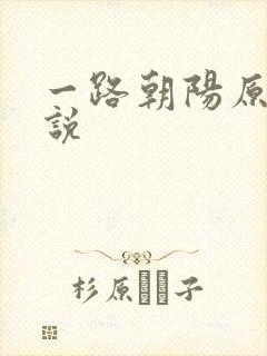 一路朝阳原著小说