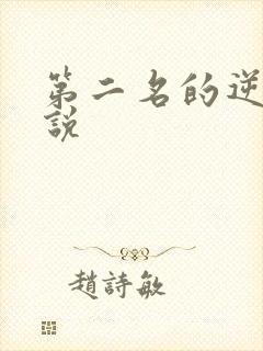 第二名的逆袭小说