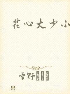 花心大少小说