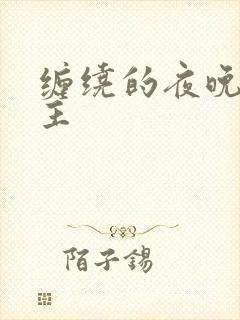 缠绕的夜晚双男主