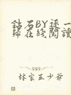 钻石BY逐一而归在线阅读