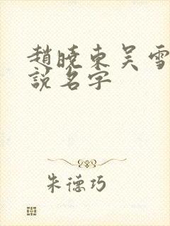 赵晓东吴雪晴小说名字