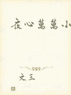 夜心万万小说