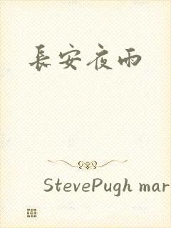 长安夜雨