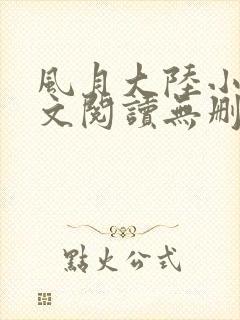 风月大陆小说全文阅读无删减