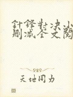 针锋对决小说未删减全文阅读