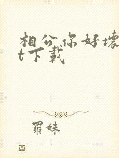 相公你好坏txt下载