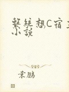 系统想C宿主的小说