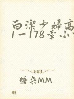 白洁少妇高义第1一178章小说