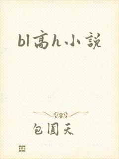 bl高h小说