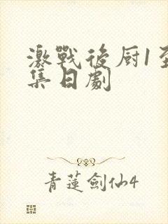 激战后厨1至5集日剧