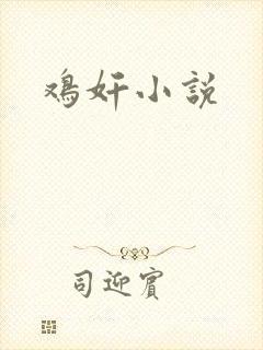 鸡奸小说