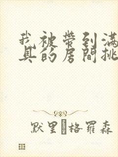 我被带到满是玩具的房间挑调游戏