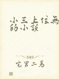 小三上位无三观的小说