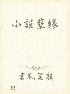 小说孽缘