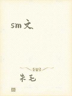 sm文