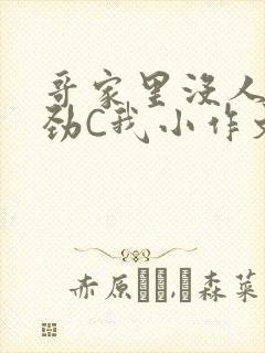 哥家里没人使点劲C我小作文