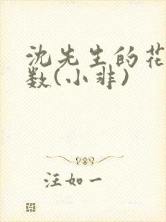 沈先生的花式调数(小非)