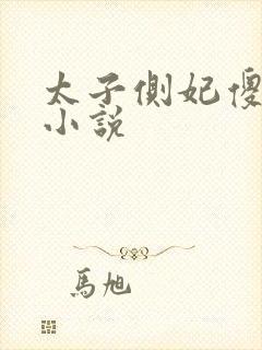 太子侧妃傻乎乎小说