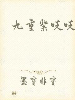 九重紫吱吱小说