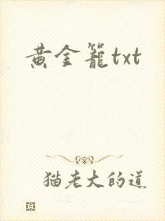 黄金笼txt