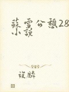 苏雪公憩28篇小说