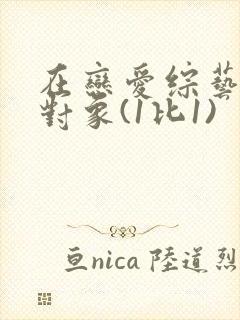 在恋爱综艺里搞对象(1比1)