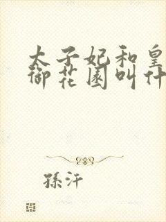 太子妃和皇帝在御花园叫什么小说