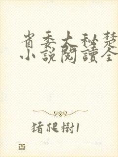 省委大秘楚东恒小说阅读全文