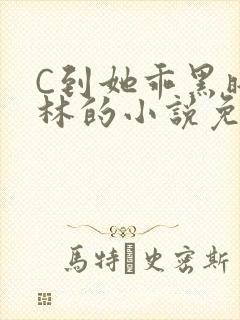 C到她乖黑暗森林的小说免费