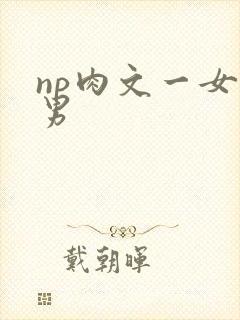 np肉文一女多男