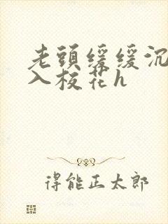 老头缓缓沉腰进入校花h