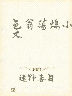 色翁荡熄小说全文