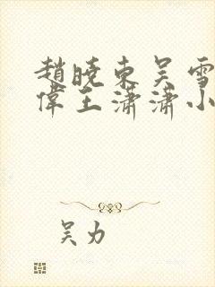 赵晓东吴雪晴郑伟王潇潇小说