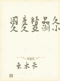 国产精品久久久久久亚洲小说