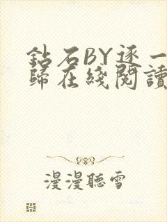 钻石BY逐一而归在线阅读