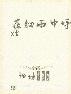 在细雨中呼喊txt