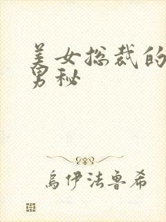 美女总裁的贴身男秘