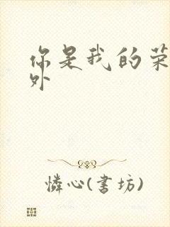 你是我的荣耀番外