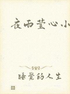 夜雨莹心小说